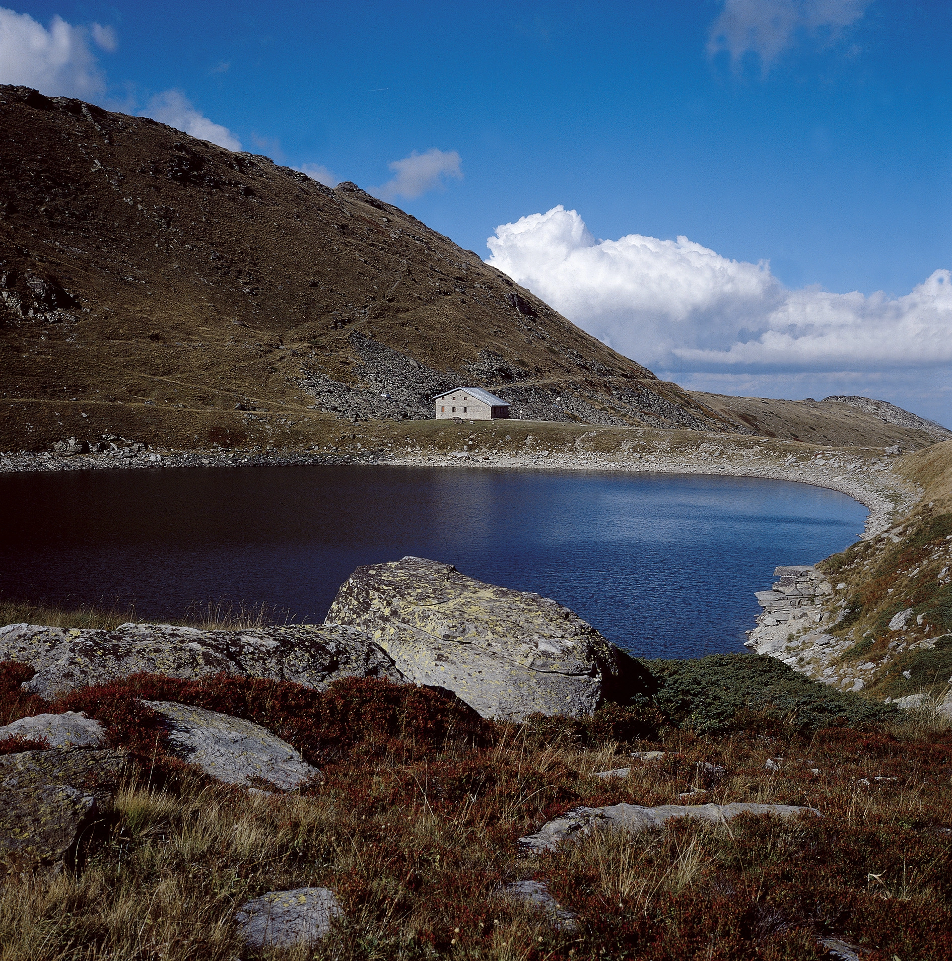 Section Image