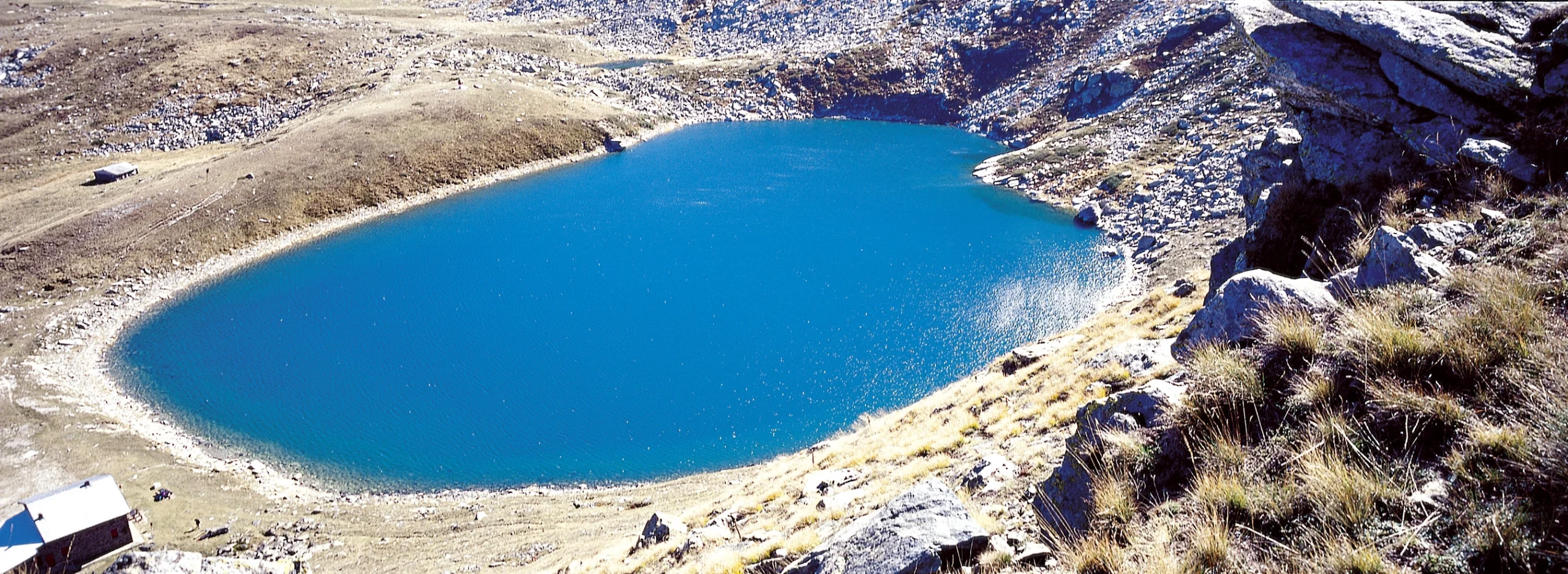 Section Image