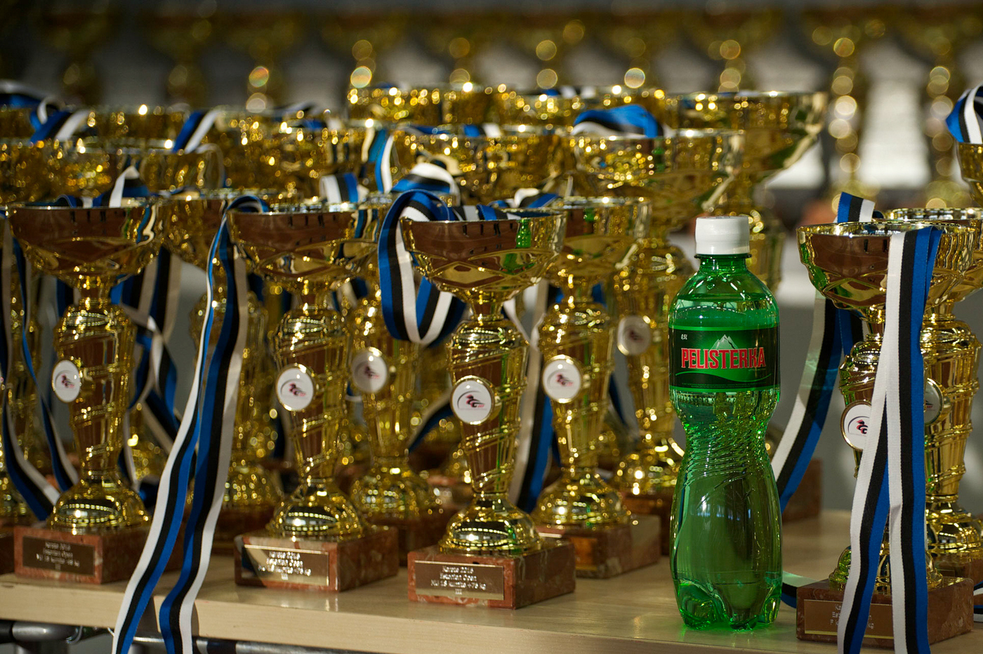 Pelisterka toetab sporti!